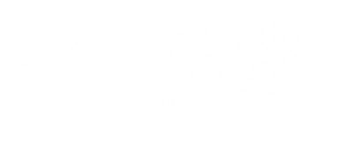 Swinging Hammers Construction Inc.